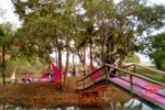 ARIQUEMES: Solenidade de abertura de Outubro Rosa é realizado no Jardim Botânico com grande piquenique