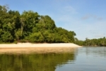 Parceria entre Emater–RO e Rioterra fortalecerá política de Regularização Ambiental em Rondônia
