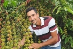 Cafeicultor de Rondônia vence Concurso Nacional da Abic