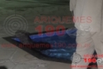 ARIQUEMES: Capivara é encontrada em piscina de residência no Mutirão
