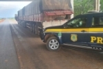 No final de semana PRF apreende 96,22 m³ de madeira ilegal e autua condutores por crimes ambientais no estado de Rondônia