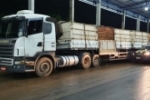 PRF apreende 35,49 m³ de madeira ilegal na BR 364 e autua condutor por crime ambiental em Ariquemes