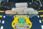 Em Porto Velho/RO PRF apreende mais de 7 quilos de cocaína em ônibus