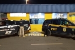 Ação da Polícia Civil de Ariquemes e PRF apreendem mais de uma tonelada de Droga provenientes de Ariquemes na Operação Ilusionista – Vídeo