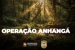 ANHANGÁ: MP e PC realizam operação contra acusado de incendiar Resex Rio Preto Jacundá