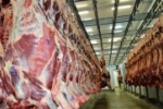 Exportações de carne bovina crescem e ultrapassam 960 milhões de dólares em Rondônia