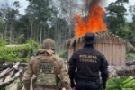 PF deflagra operação para combater crimes ambientais na Terra Indígena Igarapé Lage em Rondônia