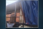 Motorista de caminhão é preso com carga roubada de 66 toneladas de massa de milho –VÍDEO