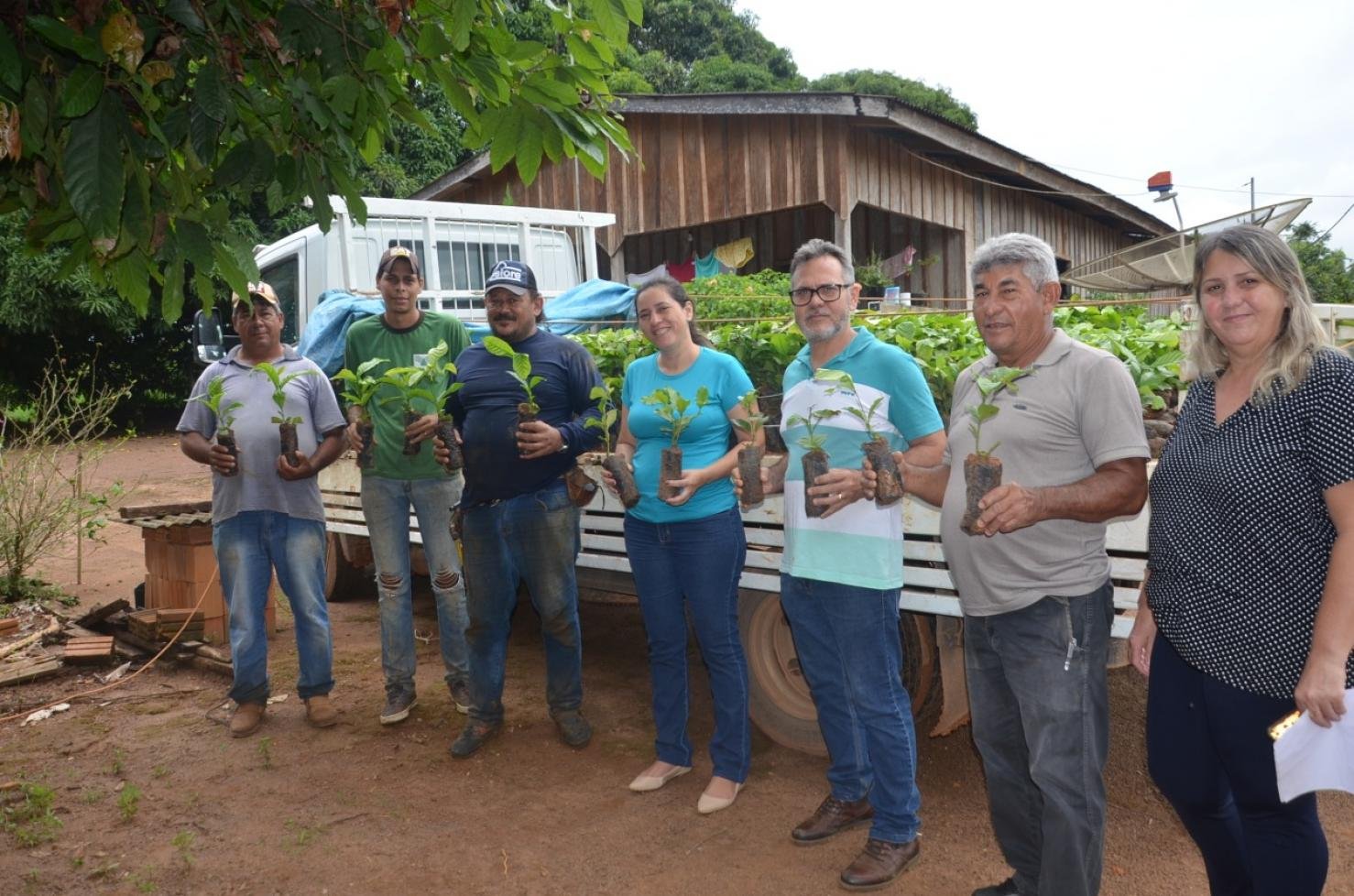Secretaria de Agricultura realiza entrega de mudas clonais de café