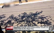 URGENTE: C0lisão entre motocicletas resulta em vítim@ f@t@l na Av. Hugo Frey – Vídeo