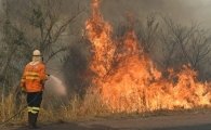 Confúcio Moura alerta sobre o alarmante aumento das queimadas no Brasil