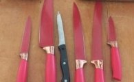 AÇÃO RÁPIDA E TÉCNICA DA POLÍCIA MILITAR SALVA ADOLESCENTE EM CRISE EM ARIQUEMES