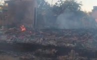 Três corpos carbonizados são encontrados em sítio de vereador em RO