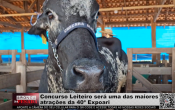 Concurso Leiteiro será uma das maiores atrações da 40ª Expoari – Vídeo