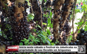 Inicia neste sábado o Festival da Jabuticaba na propriedade do seu Osvaldo em Ariquemes – LIVE: ESTAMOS NO AR! PROGRAMA BRONCA DA PESADA