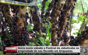 Festival da Jabuticaba começa neste sábado na propriedade do Sr. Osvaldo, em Ariquemes – Vídeo