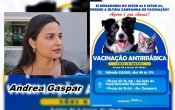 Acontecerá dia 13/09 em Ariquemes a vacinação antirrábica para cães e gatos – Vídeo