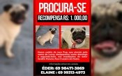 PROCURA–SE – RECOMPENSA R$ 1.000,00