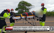 Cachorro morre atropelado na BR&ndash;364 e desvio provoca colis&atilde;o entre carreta bitrem e caminh&atilde;o de bebidas pr&oacute;ximo &agrave; Curva do Bambu &ndash; LIVE: ESTAMOS NO AR! PROGRAMA BRONCA DA PESADA