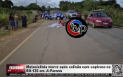Motociclista morre ap&oacute;s colis&atilde;o com capivara na RO&ndash;135 em Ji&ndash;Paran&aacute; &ndash; V&iacute;deo
