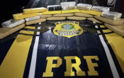 PRF em Rond&ocirc;nia apreende quase 20 kg de entorpecentes em Porto Velho 