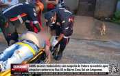 SAMU socorre motociclista com suspeita de fratura na costela ap&oacute;s atropelar cachorro na Rua 40 no Bairro Zona Sul em Ariquemes &ndash; V&iacute;deo