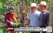 AGRICULTORES NILTON E DORINHA &ndash; Uma nova t&eacute;cnica para o plantio de banana da terra aumenta a produ&ccedil;&atilde;o e a renda &ndash; LIVE: ESTAMOS NO AR! PROGRAMA BRONCA DA PESADA