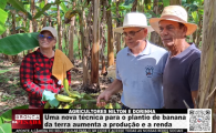 AGRICULTORES NILTON E DORINHA &ndash; Uma nova t&eacute;cnica para o plantio de banana da terra aumenta a produ&ccedil;&atilde;o e a renda &ndash; LIVE: ESTAMOS NO AR! PROGRAMA BRONCA DA PESADA