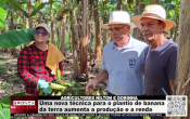 AGRICULTORES NILTON E DORINHA &ndash; Uma nova t&eacute;cnica para plantio de banana da terra aumenta a produ&ccedil;&atilde;o e a renda &ndash; V&iacute;deo