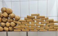 Opera&ccedil;&atilde;o da PM apreende 54 quilos de entorpecentes em Cacoal
