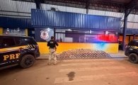 PRF em Rond&ocirc;nia apreende mais de 270 kg de drogas durante fiscaliza&ccedil;&atilde;o na BR&ndash;364