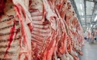 Veto da Uni&atilde;o Europeia pode afetar exporta&ccedil;&atilde;o de carne em Rond&ocirc;nia? Entenda