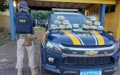 PRF em Rond&ocirc;nia apreende 15 kg de skunk no munic&iacute;pio de Porto Velho/RO