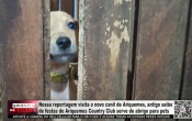 Nossa reportagem visita o novo canil de Ariquemes, antigo sal&atilde;o de festas do Ariquemes Country Club serve de abrigo para pets &ndash; V&iacute;deo