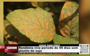 VAZIO SANIT&Aacute;RIO &ndash; Rond&ocirc;nia vive per&iacute;odo de 90 dias sem plantio de soja &ndash; V&iacute;deo