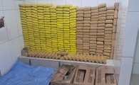 Pol&iacute;cia Militar de Rond&ocirc;nia aplica duro golpe ao tr&aacute;fico e apreende mais de 328 kg de drogas em Cacoal