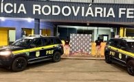 PRF em Rond&ocirc;nia apreende quase 80 kg de coca&iacute;na em Ji&ndash;Paran&aacute;