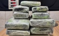 PF apreende 13 kg de entorpecente no Aeroporto de Porto Velho/RO