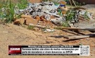 WhatsApp para den&uacute;ncias an&ocirc;nimas (69) 3516&ndash;2016: Terrenos baldios s&atilde;o alvos de muitas reclama&ccedil;&otilde;es por parte de moradores e viram den&uacute;ncias na DIPUR &ndash; V&Iacute;DEO