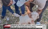 Vacina&ccedil;&atilde;o antirr&aacute;bica acontece neste s&aacute;bado, 29/08 em Ariquemes &ndash; VACINE SEU PET &ndash; V&Iacute;DEO