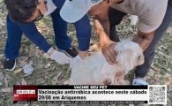 CONFIRA OS PONTOS: Vacina&ccedil;&atilde;o antirr&aacute;bica acontece neste s&aacute;bado, 29/08 em Ariquemes &ndash; V&Iacute;DEO