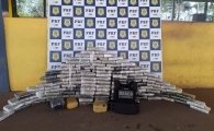 PRF E DRACO2 APREENDEM 160 KG DE SKUNK ESCONDIDOS EM BALDES DE MASSA CORRIDA EM JI&ndash;PARAN&Aacute;