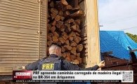 PRF apreende caminh&atilde;o carregado de madeira ilegal na BR&ndash;364 em Ariquemes &ndash; V&Iacute;DEO