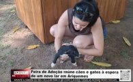 Feira de Ado&ccedil;&atilde;o re&uacute;ne c&atilde;es e gatos em busca de um novo lar em Ariquemes &ndash; V&Iacute;DEO
