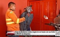 Corpo de Bombeiros realiza resgate de duas aves ex&oacute;ticas com asas feridas no mesmo fim de semana em Ariquemes &ndash; V&Iacute;DEO