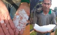 Cafeicultor mostra grande peda&ccedil;o de granizo acumulado ap&oacute;s temporal em Rond&ocirc;nia