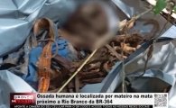 Ossada humana &eacute; localizada por catador de castanhas na mata pr&oacute;ximo ao Rio Branco da BR&ndash;364 &ndash; V&Iacute;DEO