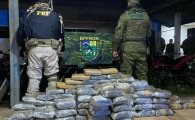 For&ccedil;as de seguran&ccedil;a apreendem mais de 100 kg de skunk avaliados em R$ 1,24 milh&atilde;o