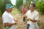 ARIQUEMES:Técnicos da Semed e Banco de Alimentos fazem visita à agroindústria de Ariquemes