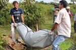 PORTO VELHO – Garota de 14 anos é estuprada e estrangulada até a morte – Obs. Imagens fortes